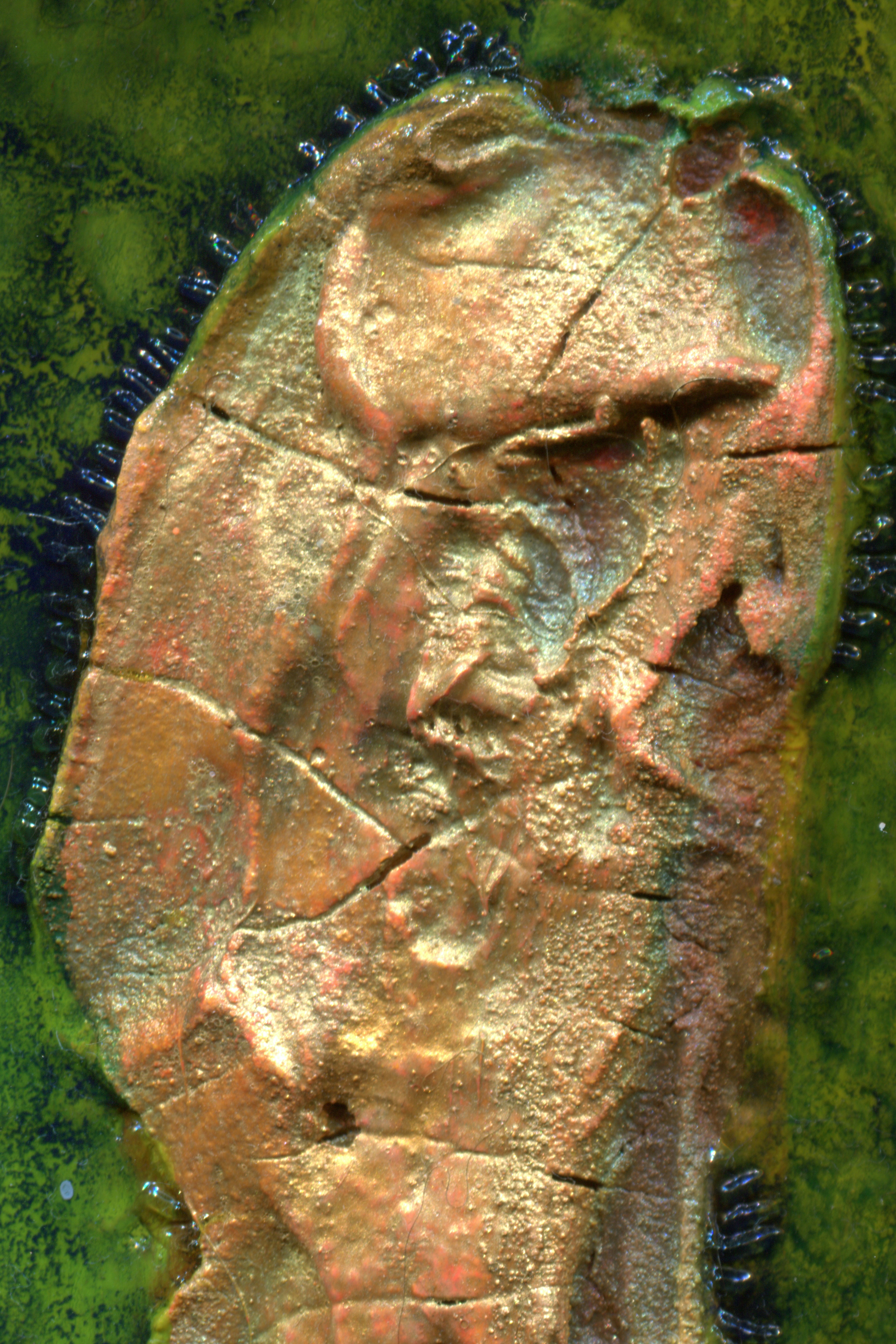 北歐盧恩符文：古老文字中的魔法與護符意涵解析